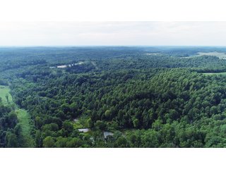 Tract 56 - Timberland & Farmland in Noble County, OH - LAND AUCTION - 12,200+/- ACRES OFFERED IN 65 TRACTS IN NOBLE COUNTY, OHIO